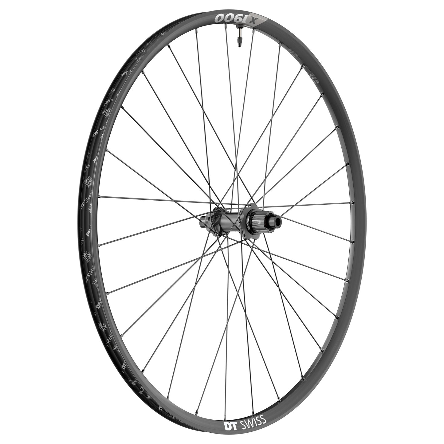 DT Swiss X1900 Spline 29er Wheelset Front and Rear