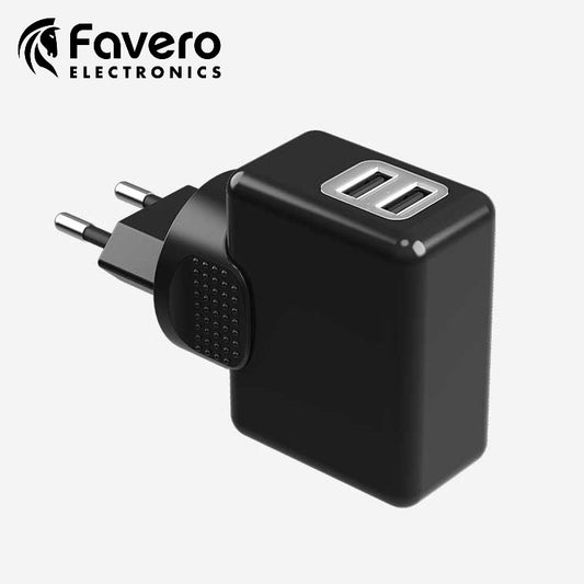 Favero Assioma Battery charger