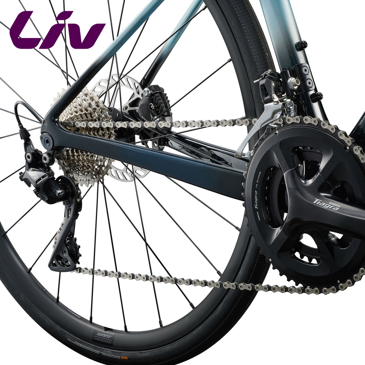 Liv Avail Advanced 3 (2027) Advanced Carbon Road, Endurance Bike Shimano Tiagra - Cryo SIlver